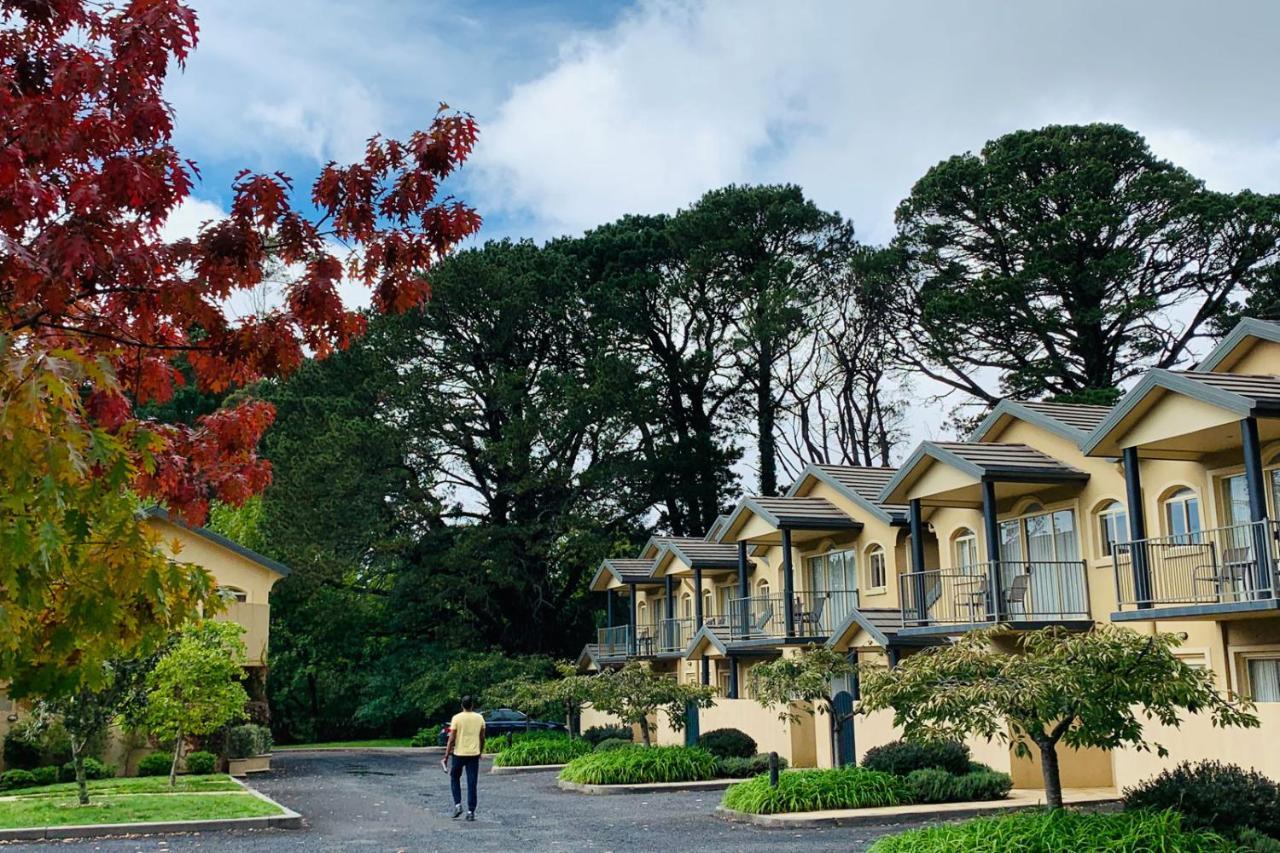 Falls Mountain Retreat Blue Mountains Wentworth Falls Exterior foto